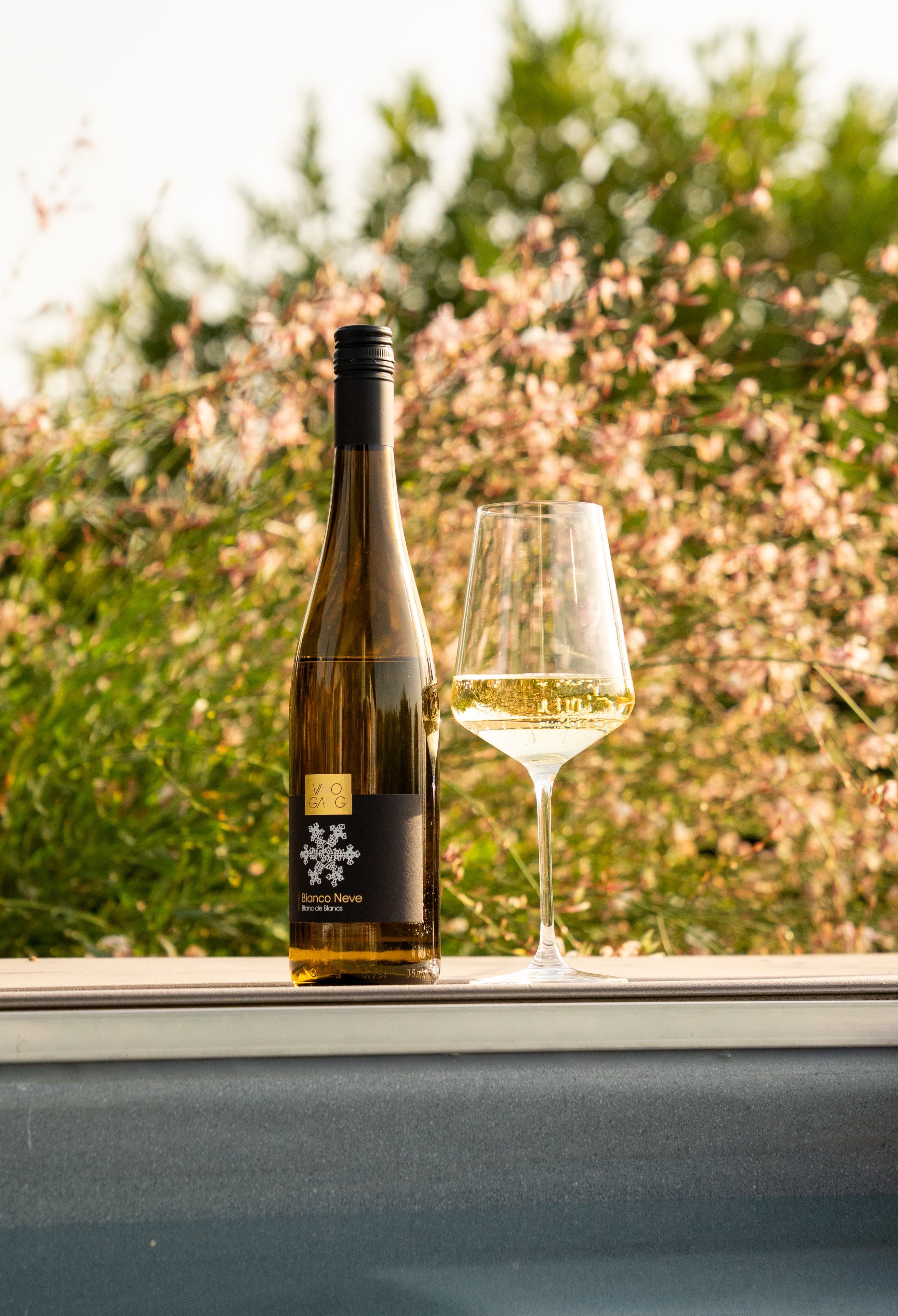 Vinogang Instagram